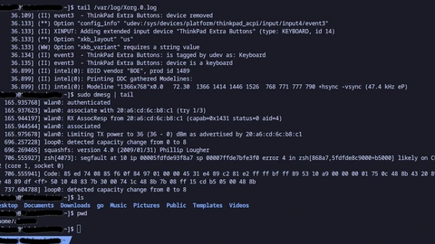A Bash shell session in a terminal window showing command history and a prompt. No people appear.