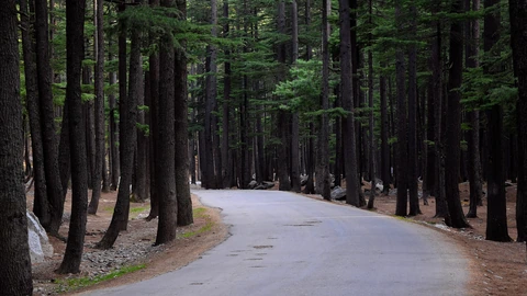 An empty two-lane road stretching through open landscape. No people appear.