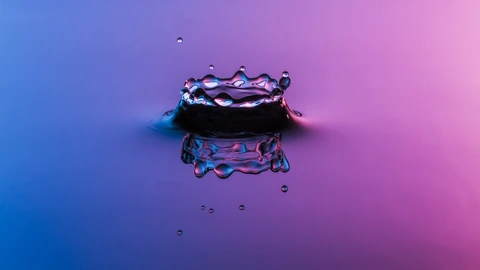 High-speed photograph of a water drop impact crown on a wet surface. No people appear.