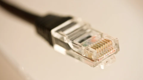 Close-up of a blue Category 5 Ethernet cable connector and twisted pairs. No people appear.