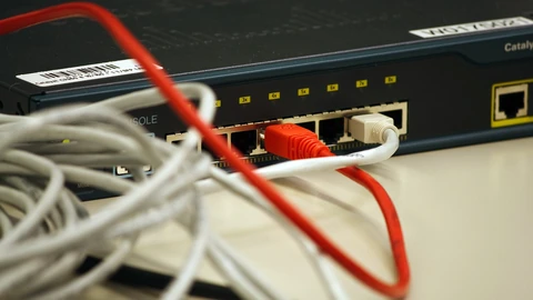 A dense tangle of colored network cables filling a cable tray. No people appear.