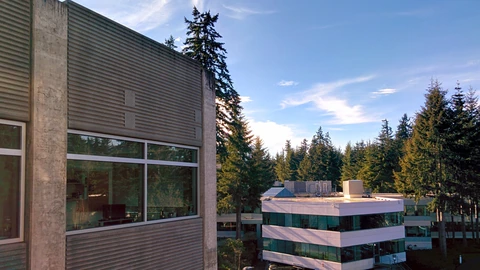 A concrete Microsoft office facade beside a white three-storey campus building and fir trees, with empty pavement below. No people appear.
