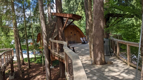 A small wooden treehouse among trees on a grassy campus. No people appear.