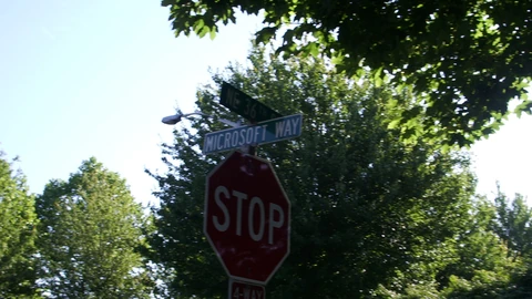 Street signs for Microsoft Way and NE 36th St with a STOP sign under trees. No people appear.