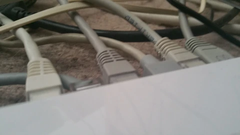 A tangle of colorful Ethernet patch cables plugged into networking gear. No people appear.