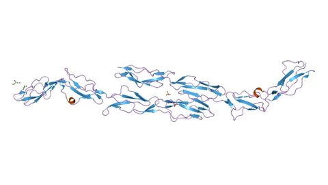 Ribbon diagram of a protein structure from the Protein Data Bank entry 1ojw, rendered as an EBI image against a white background. No people appear.