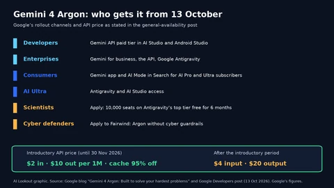 Six rows listing who gets Gemini 4 Argon from 13 October 2026: developers on the paid Gemini API tier in AI Studio and Android Studio; enterprises via Gemini for business, the API and Antigravity; AI Pro and Ultra subscribers in the Gemini app and AI Mode; Ultra subscribers in Antigravity and AI Studio; 10,000 scientists by application; and Fairwind cyber defenders without cyber guardrails. A price box shows $2 input and $10 output per million tokens until 30 November 2026, then $4 and $20.
