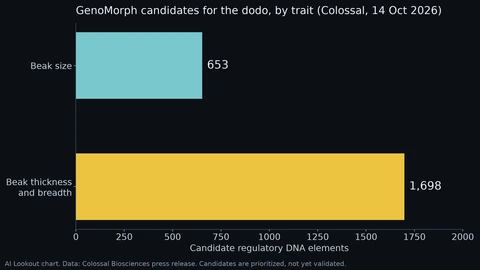 AI Lookout horizontal bar chart of GenoMorph candidates for the dodo: 653 regulatory DNA elements linked to beak size and 1,698 linked to beak thickness and breadth.