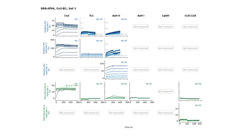 A grid of binding traces for the designed protein Cn2-B1 against six targets. Against Cn2 the curves rise and hold, marked Hit at both labs; against Ts1, AaH II, AaH I, LqhIII and the unrelated control CLEC12A the traces stay flat, marked No hit.