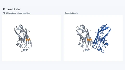 Two panels. On the left, a gray ribbon model of the PD-L1 target protein with three orange hotspot residues marked. On the right, the same target with a blue designed binder protein attached at the hotspot region.