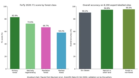 Two bar charts. Left: F1 scores of 82.9 percent for primary forest, 72.6 for naturally regenerating forest, 66.7 for plantation forest and 58.2 for planted forest. Right: overall accuracy of 90.2 percent for six classes, 94.8 for natural forest versus other land and 95.5 for forest versus non-forest.