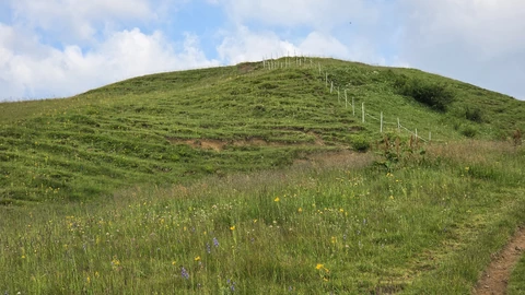 A narrow mountain hiking path along a grassy ridge. No people appear.