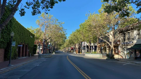An empty tree-lined block of University Avenue in Palo Alto, with storefronts and no people on the street.