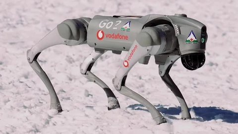 A Unitree Go2 quadruped robot in side view on outdoor ground. No people appear.