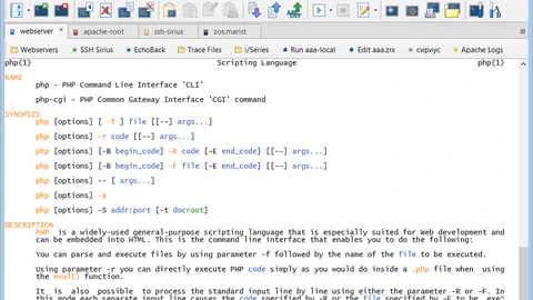 Screenshot of a terminal client main window with menus and a text session area. No people appear.