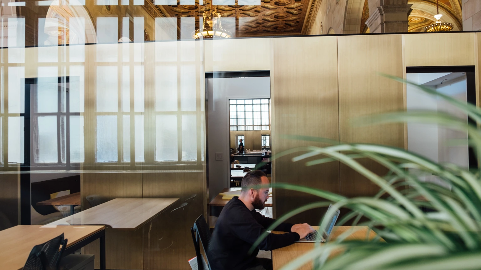 A person working at a laptop behind a glass office wall, with a plant in the foreground.