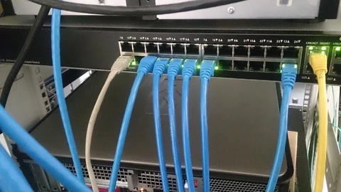 A black network switch with numbered ports, six blue Ethernet cables, one white cable and one yellow cable plugged in. No people appear.