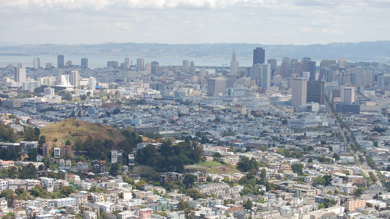 Hazy daytime view from a grassy hill over San Francisco houses toward downtown towers and the bay. No identifiable people appear.