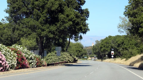 Empty eastbound lane of Sand Hill Road in Menlo Park under oak trees, with a Menlo Park city-limit sign at left and dry grass at right. No people appear.