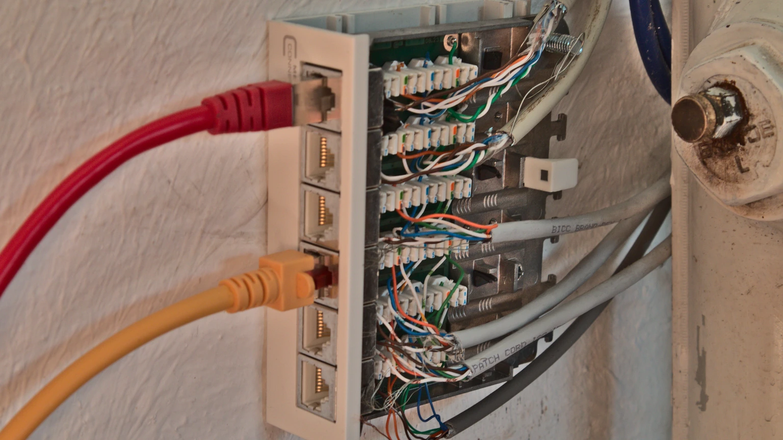 A wall-mounted six-port Cat 6A Ethernet patch panel with short patch cables. No people appear.