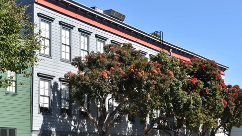 A grey clapboard office building with a red cornice and flowering street trees against a clear sky. No people or parked cars appear in the published crop.