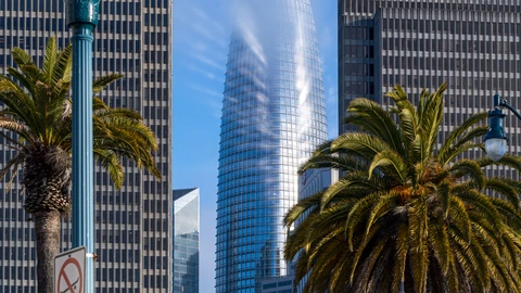 Salesforce Tower’s crown in a thin band of fog between two palm trees and dark office facades, with a no-skateboarding sign on a lamp post. No people appear.