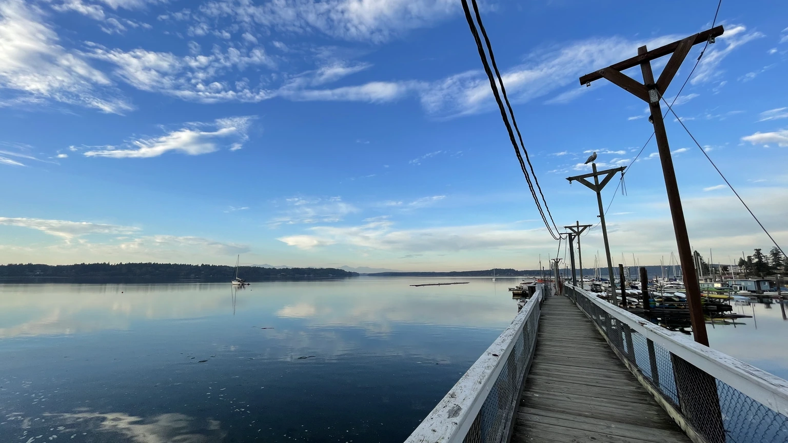 Boats moored along floating docks at Boston Harbor, Washington, with evergreen hills beyond. No people are clearly identifiable.