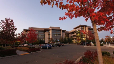 Wide view of glass office buildings and landscaped paths on the Microsoft Redmond campus under a clear sky. No people appear in the frame.