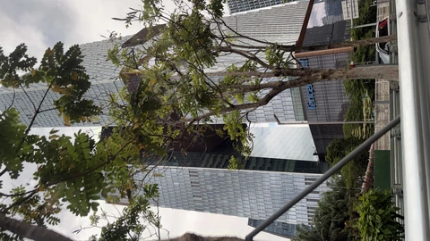 Glass-clad Tencent Seafront Towers rising above a landscaped plaza in Shenzhen under a clear sky. No people appear in the frame.