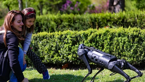 A black Unitree quadruped robot standing on grass outdoors during a military demonstration day, with a person partially visible at the left edge holding a controller.
