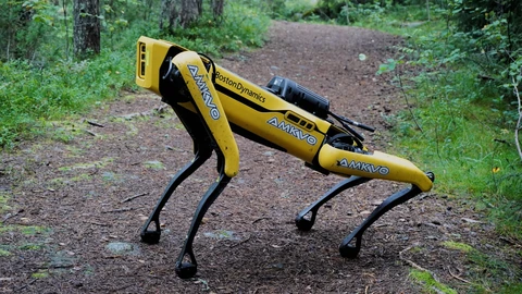 A yellow Boston Dynamics Spot four-legged robot with black legs and a sensor mounted on its back, standing on a dirt path in a green forest.