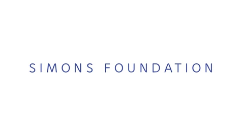 The words SIMONS FOUNDATION in widely spaced blue capital letters on a plain white background.