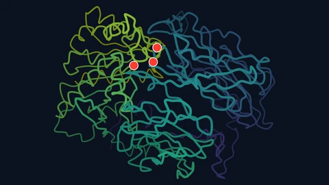 A tangle of coloured tubes on a dark background tracing the backbone of the human FAP protein, shading from purple through teal to yellow-green, with three red dots marking its catalytic site.