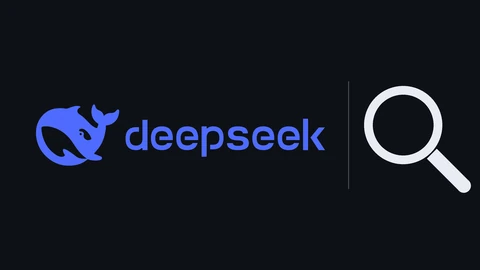 DeepSeek's blue whale logo and lowercase deepseek wordmark on the left of a near-black background, a thin grey divider, and a large white magnifying-glass outline on the right.