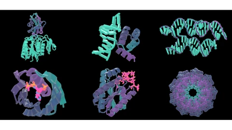 Six colored ribbon renders of designed biomolecular structures on a white background: a protein-protein complex, a protein bound to DNA, a double-helix, two enzyme pockets around small molecules, and a ringed protein assembly.