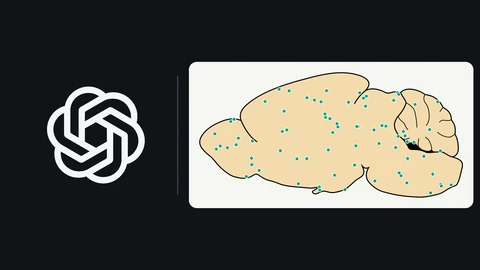 The white OpenAI blossom logo on the left of a dark background; on the right, a beige side-view drawing of a mouse brain scattered with small green dots.