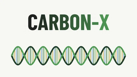 The Carbon-X wordmark in capital letters shading from black to green on an off-white background, above a drawn DNA double helix in dark and light green with blue, yellow and green base-pair rungs.