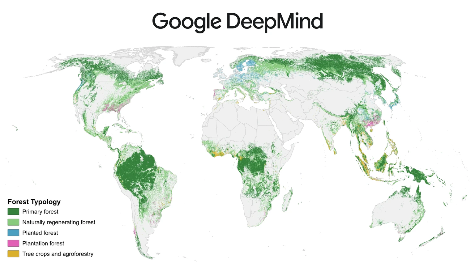 The Google DeepMind wordmark above a world map in which forests are coloured by type: dark green primary forest across the Amazon, Congo and Siberia, light green regrowth, blue planted forest in Scandinavia and Japan, pink plantations in the US South and southern China, and yellow tree crops in West Africa and Southeast Asia.